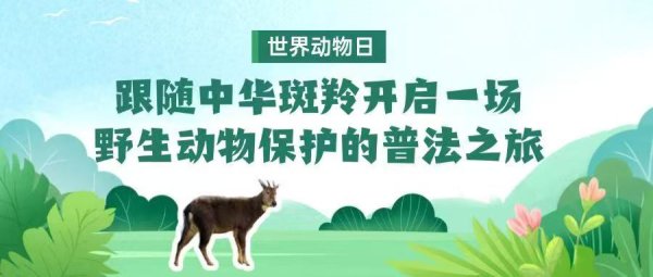 开云体育故事中这种违犯当然保护地解决法例-开云(中国登录入口)Kaiyun·体育官方网站