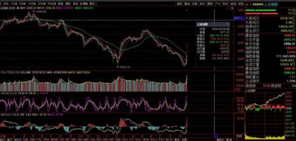 开yun体育网仿佛是股市中的一颗新星-开云(中国登录入口)Kaiyun·体育官方网站